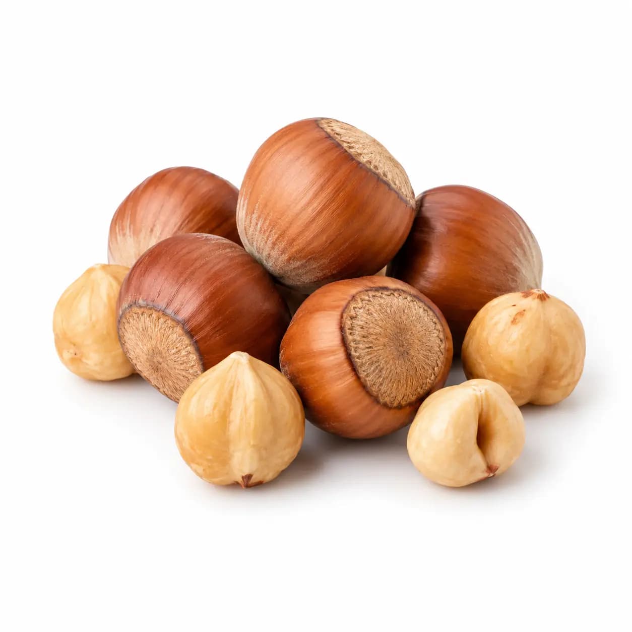 Noisette