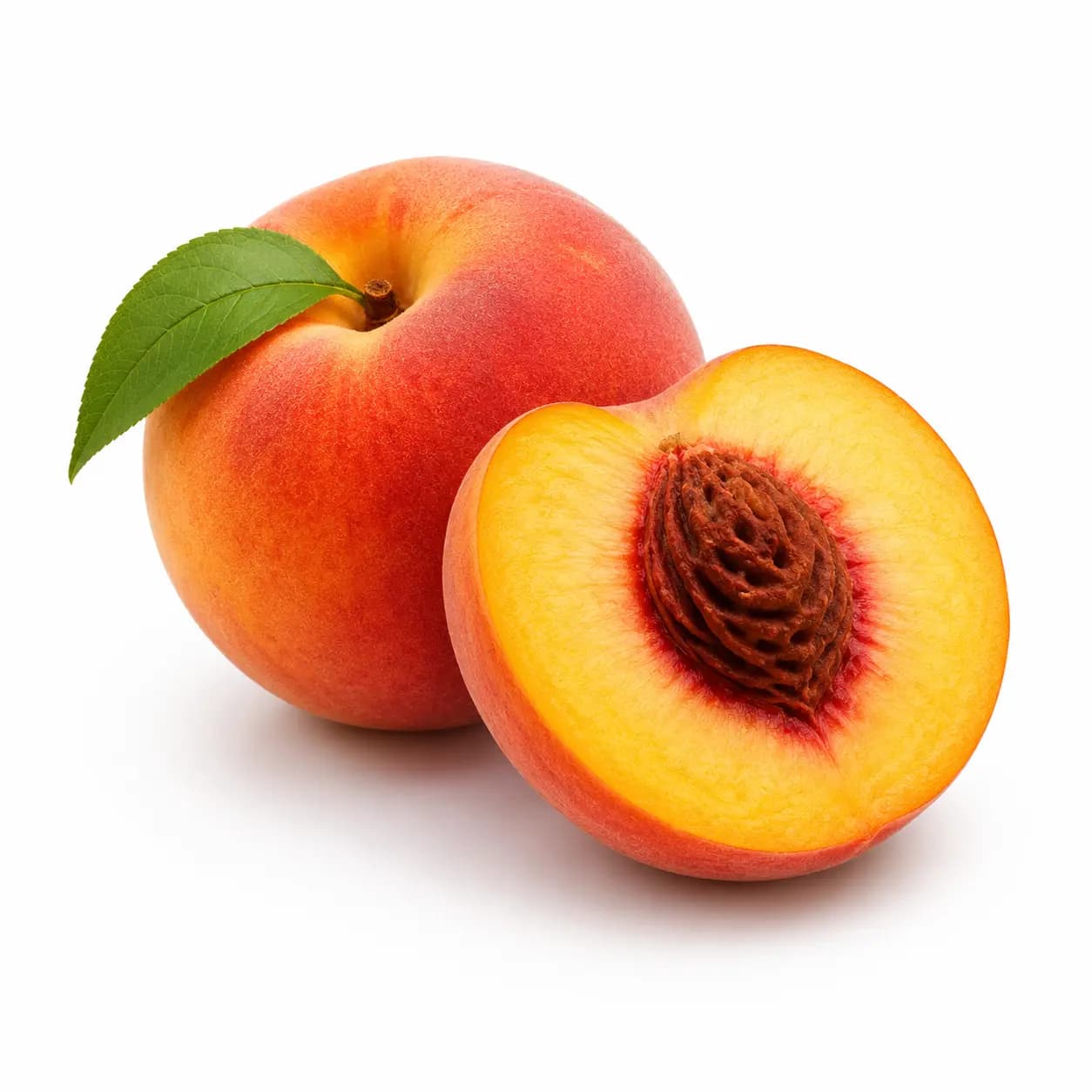 Pêche