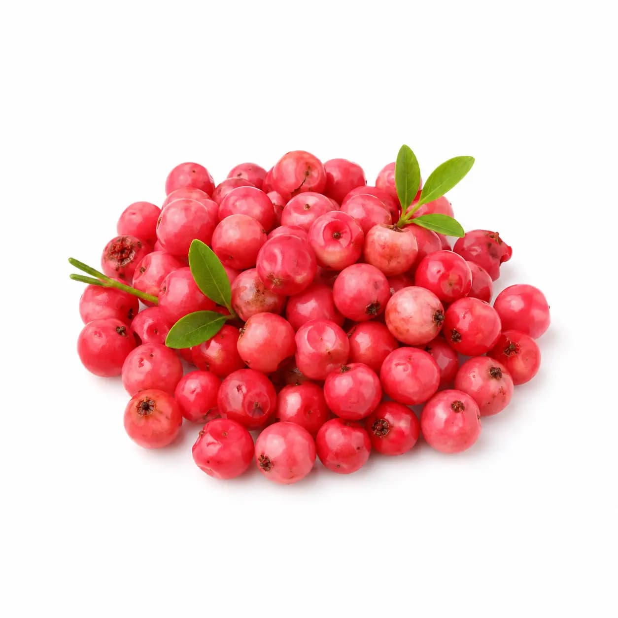 Poivre rose