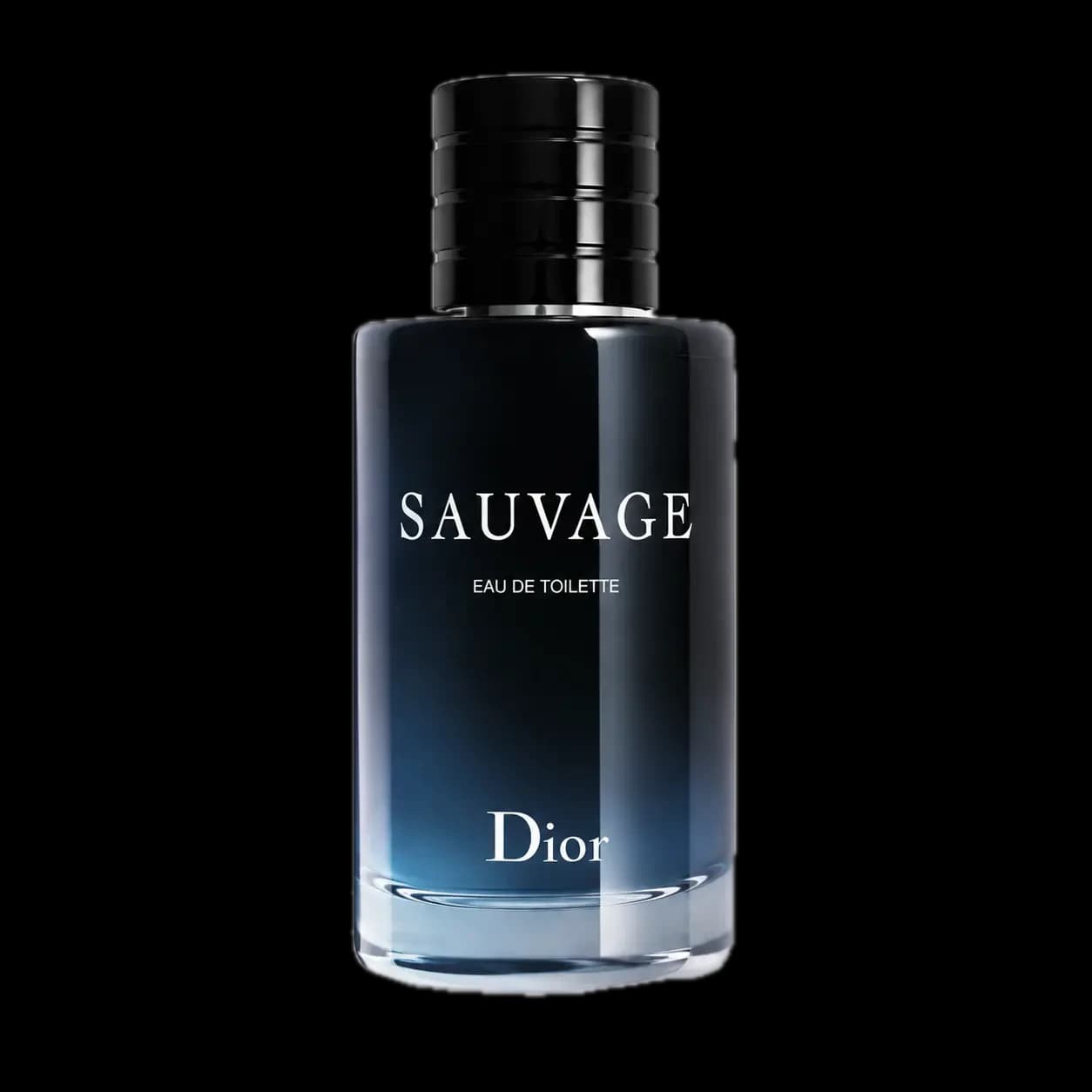 Sauvage Eau de Toilette